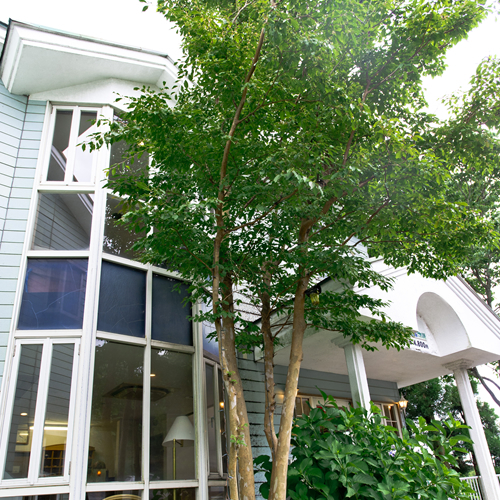 ホテル 伊豆高原物語 格安予約 宿泊プラン料金比較 トラベルコ ホテル 伊豆高原物語 格安予約 宿泊プラン料金比較 トラベルコ