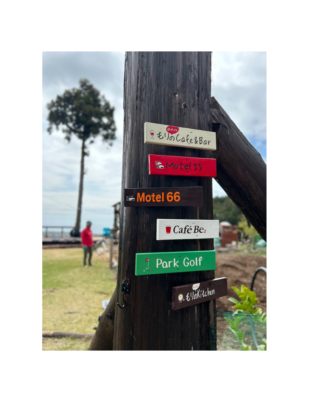 「もりのこうえん」楽しさ色々もりのこうえん