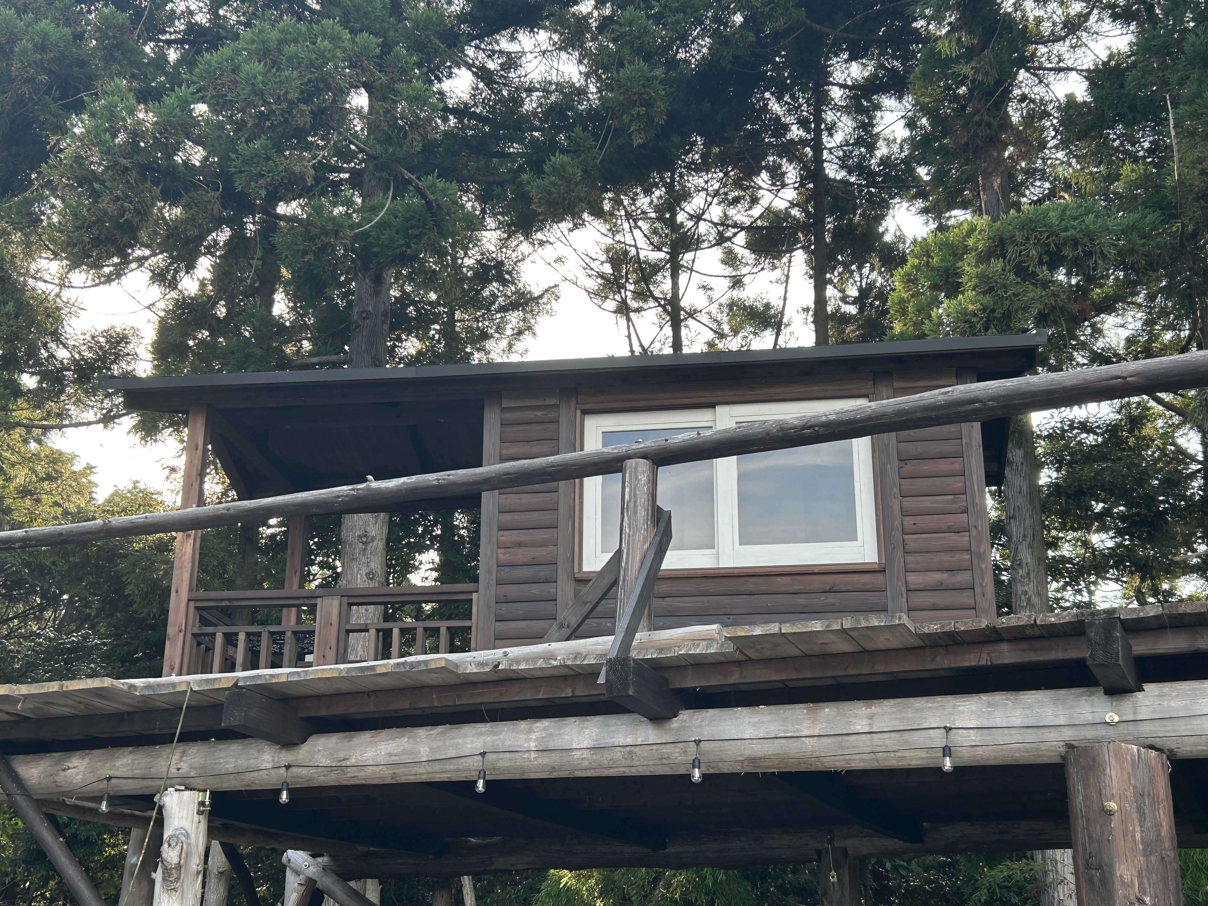 「もりのこうえん」スカイロッジ