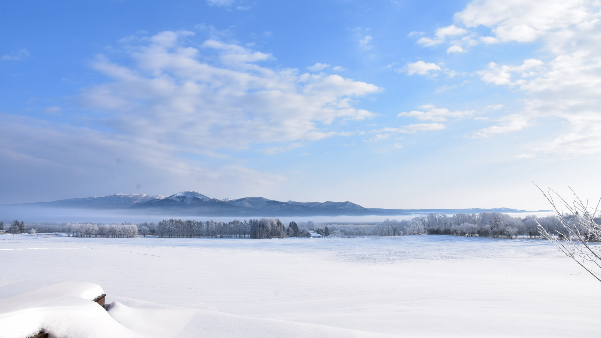 霧氷で真っ白な風景