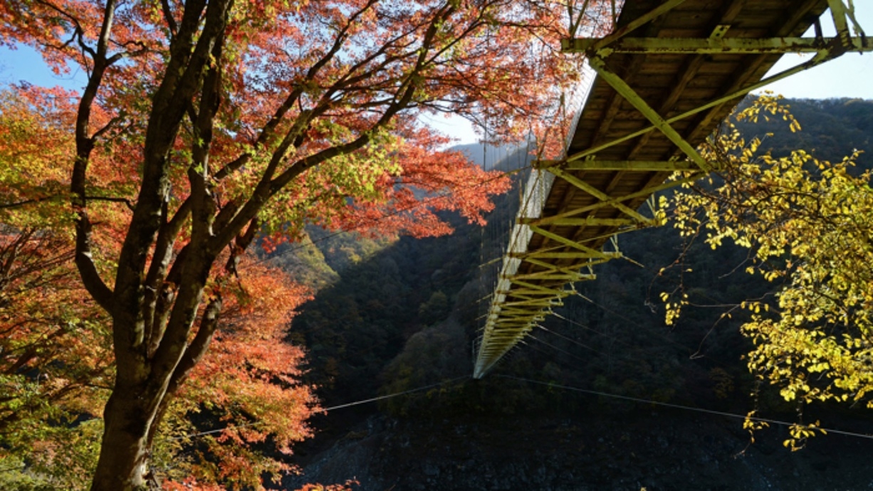 【10〜11月｜秋の秩父】紅葉めぐり〜手打ちそばと温泉を楽しむ秋旅＜2食付＞