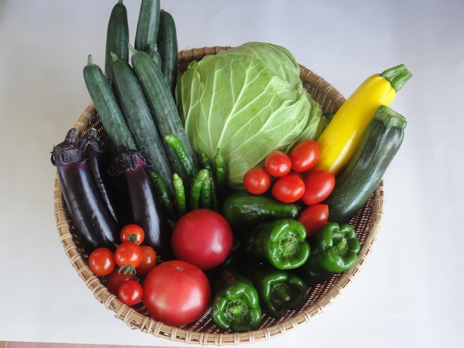 新鮮お野菜をどうぞ☆ 夏には好きな野菜を摘み取り、お料理に使うことも可能です♪
