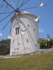 オリーブ園の風車
