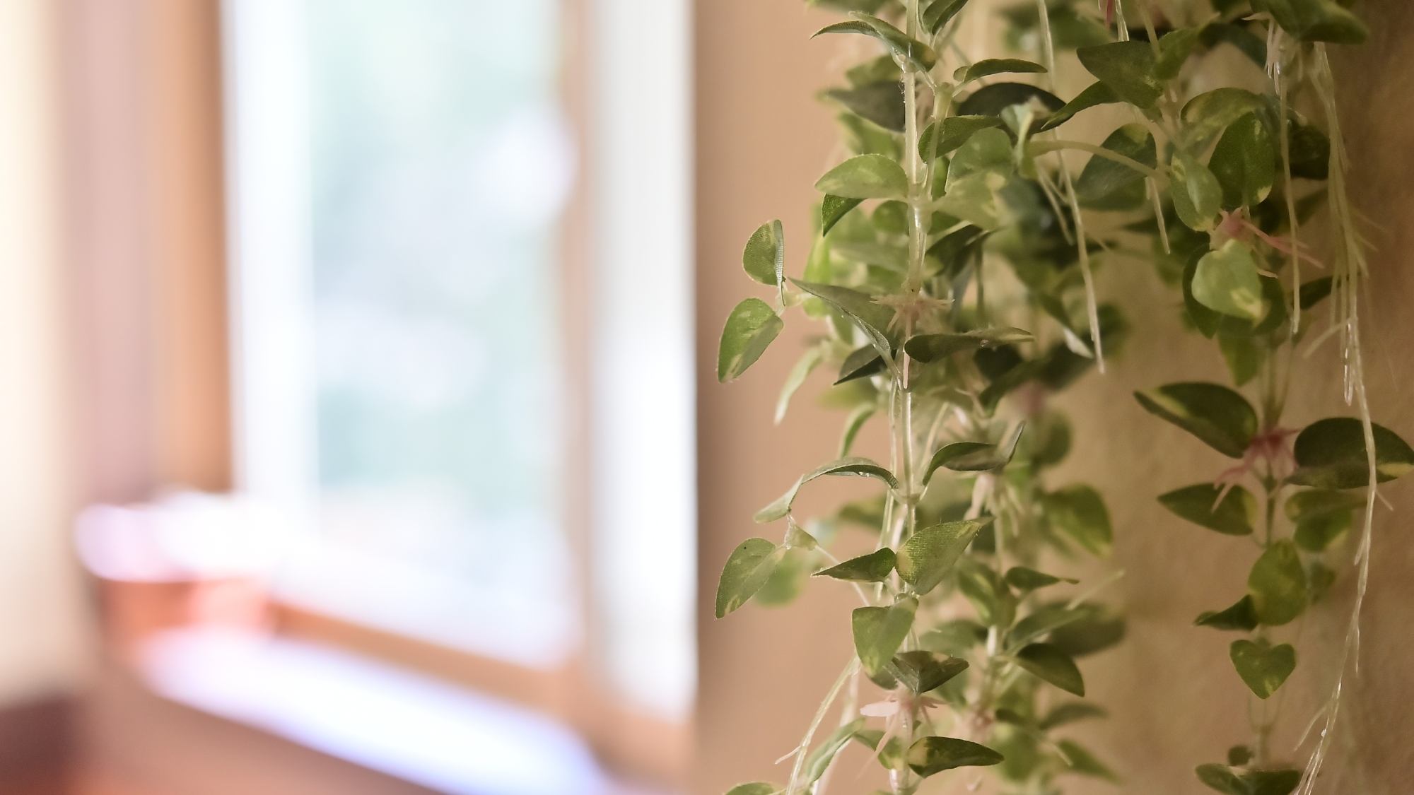 ペンションZozanへようこそ！！