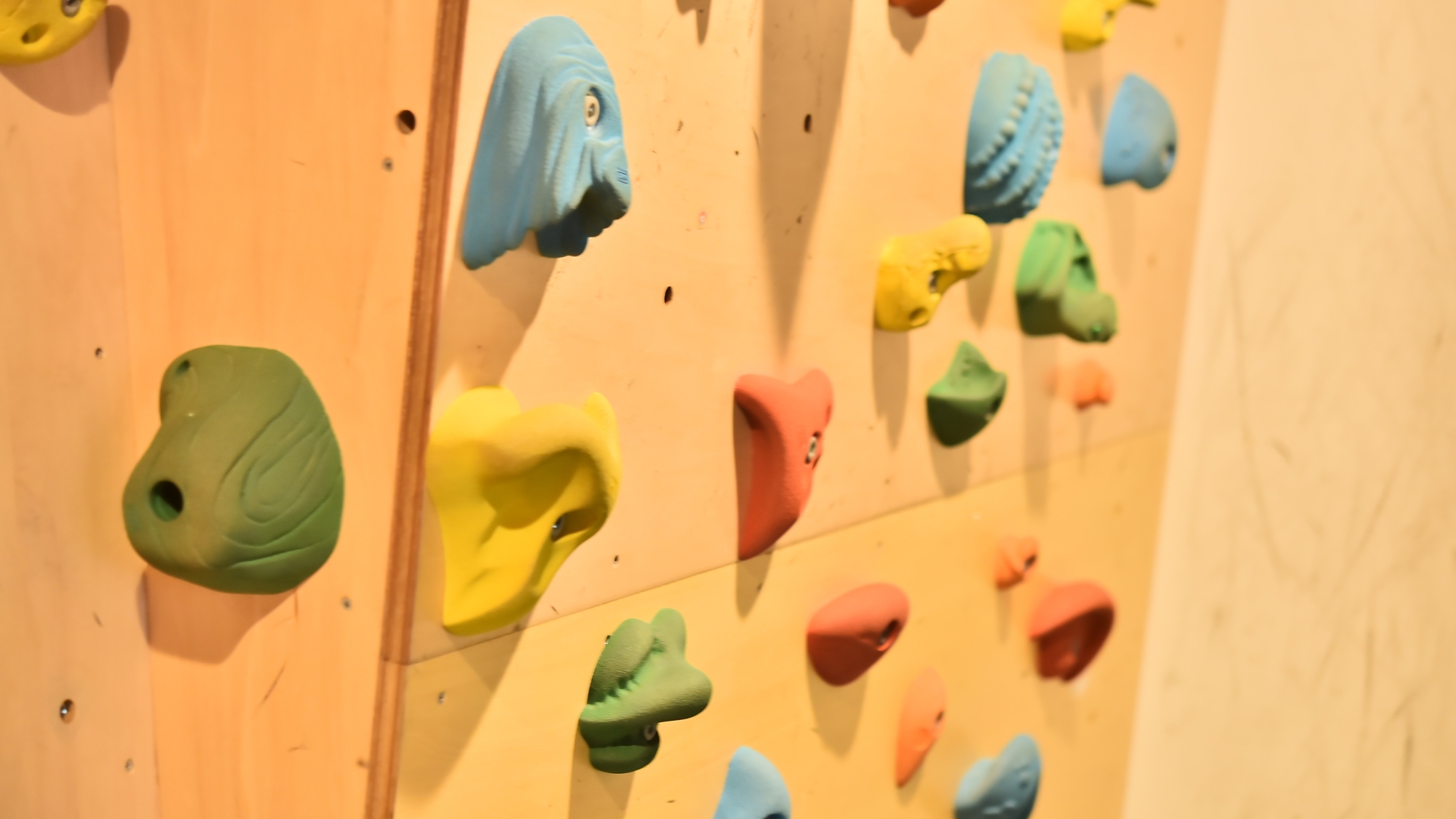 ボルダリングルーム（お子様用：大人の方もご利用OK）