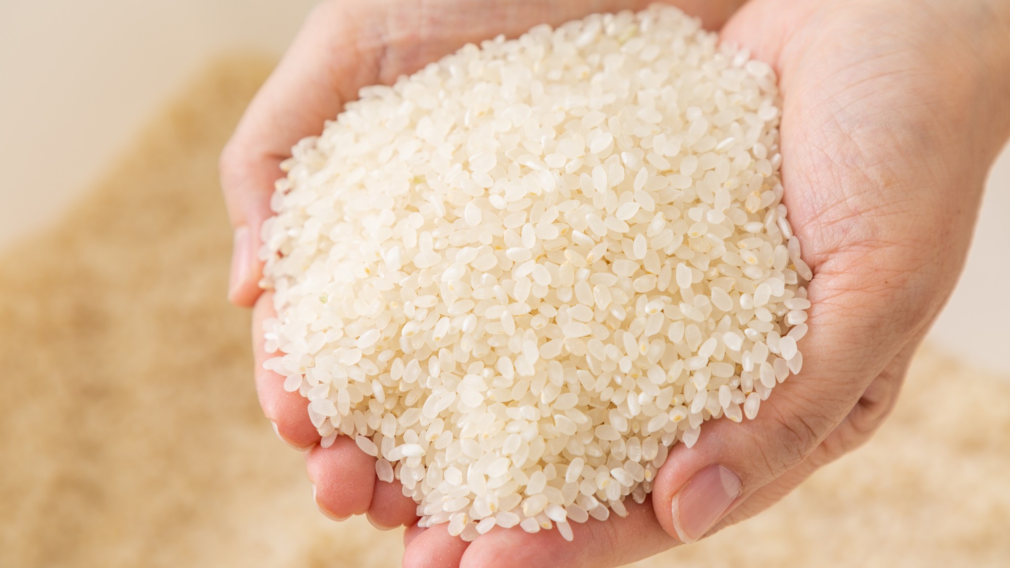 ご飯は地元産のお米を使用しています。