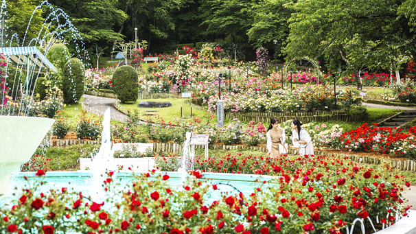 【バラ園入園券付】ローズプラン◇旬の味に彩りを添える「佳松園会席」標準客室タイプ