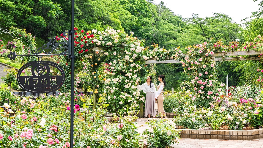 花巻温泉バラ園 新スポット「バラの泉」