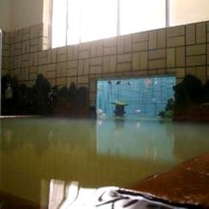 モダンナンバー 西本屋湯治プラン