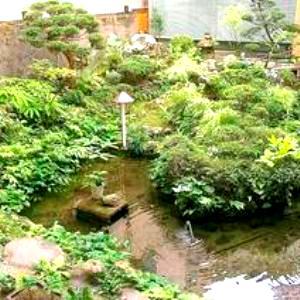 モダンナンバー 西本屋湯治プラン