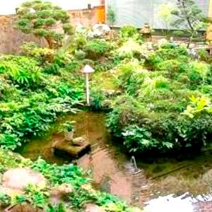 モダンナンバー 西本屋湯治プラン