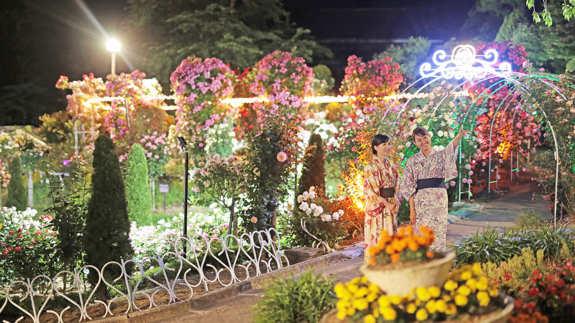 花巻温泉バラ園　ナイトローズガーデン