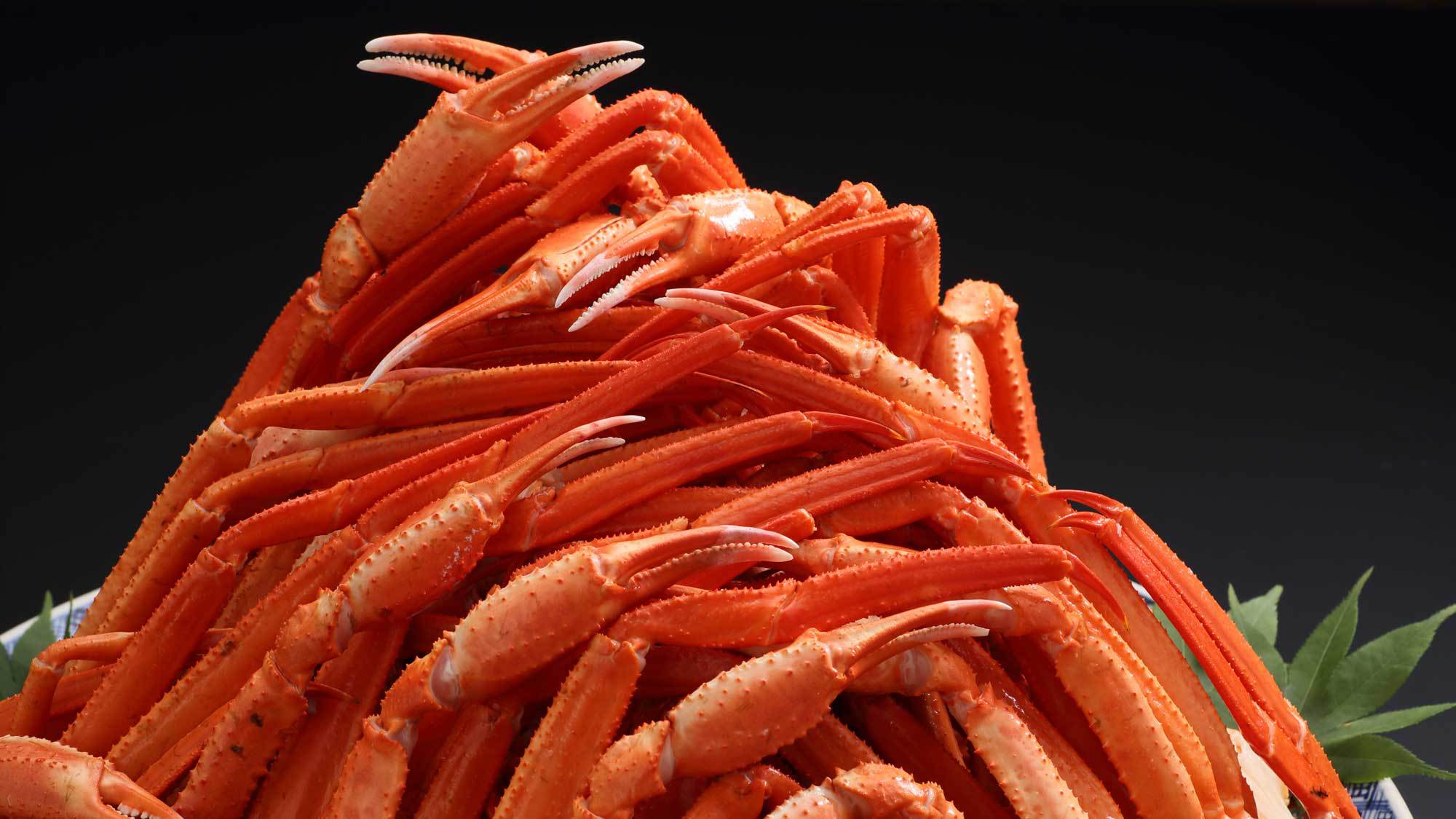 【夏油高原スキー場リフト2日券付】かに＆ステーキ食べ放題！会場おまかせバイキング★湯めぐり満喫