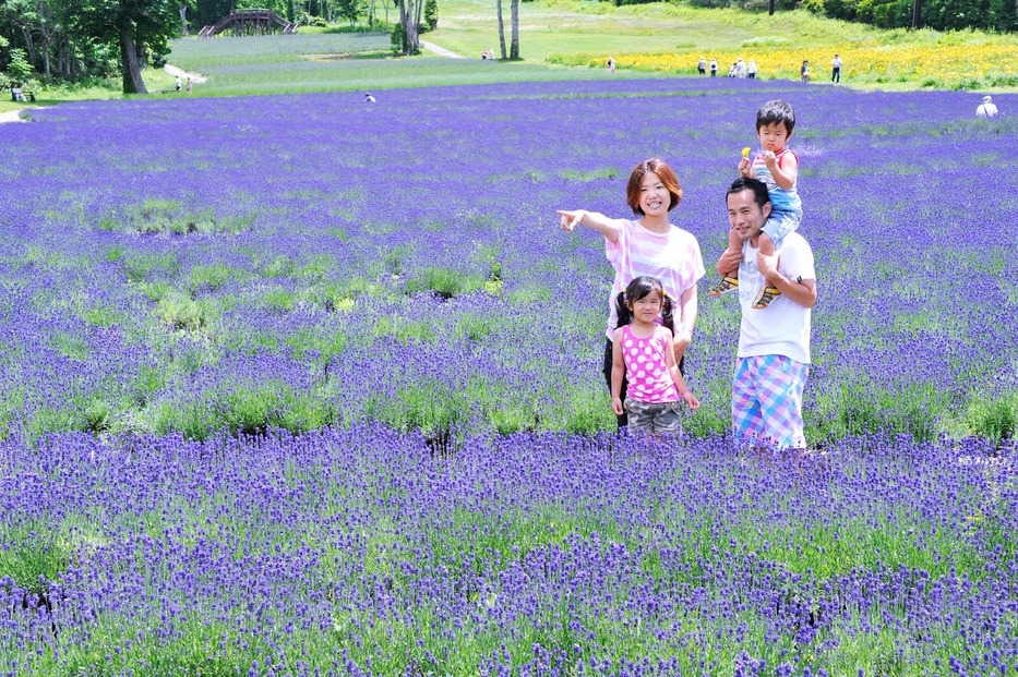 【たんばらラベンダーパーク入園券付き】１泊朝食付キングサイズDXDルームプラン（禁煙）