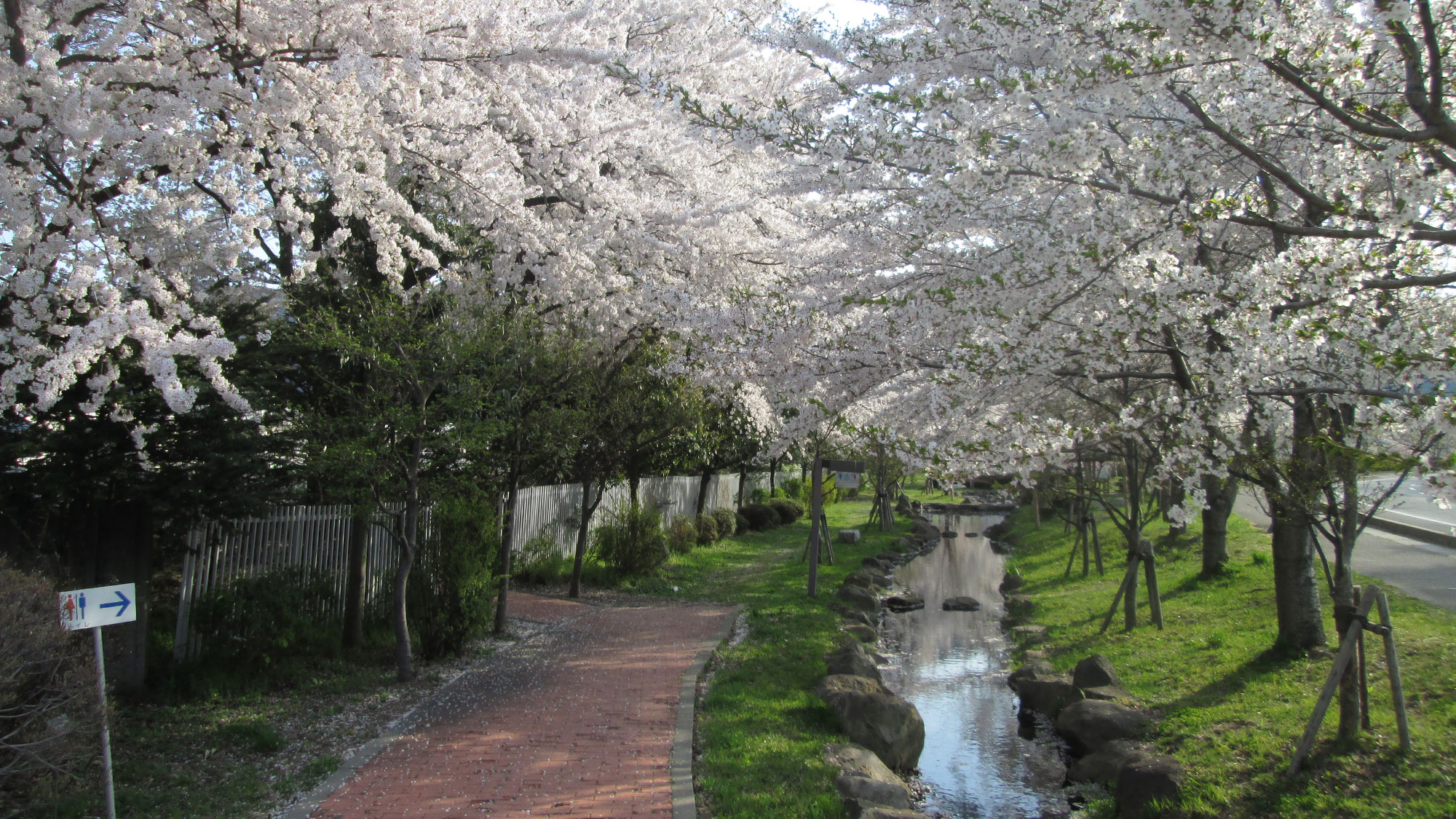 *【桜祭り】高遠城址公園は、「さくら名所100選」に選ばれています。