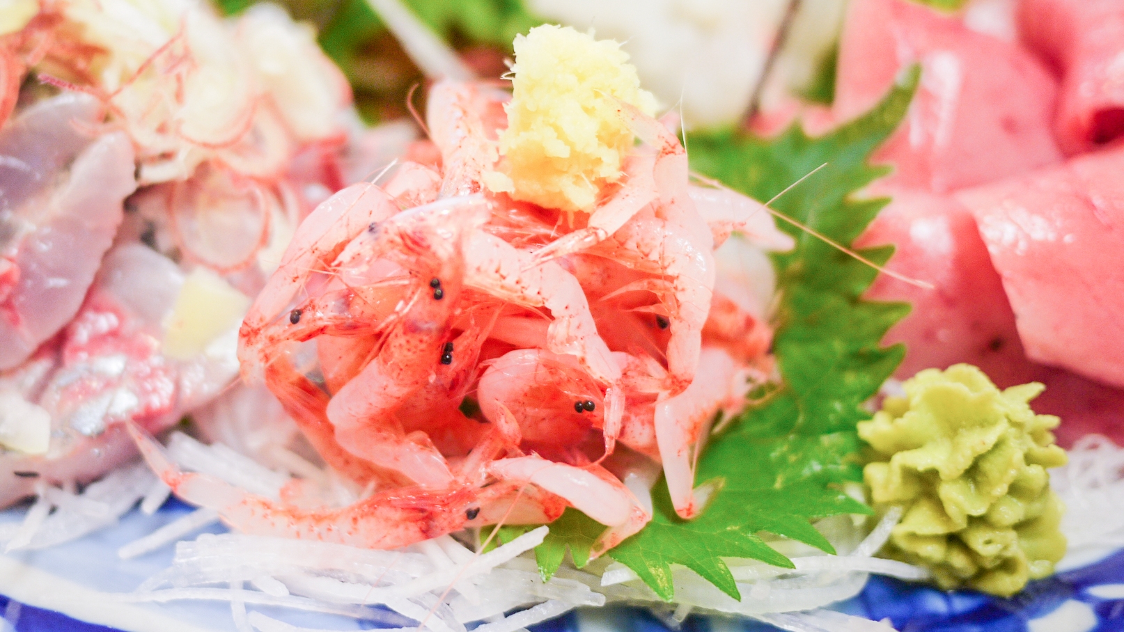 *【夕食一例】駿河湾名産・桜海老の刺身。実は全国で駿河湾でしか獲れないのです。