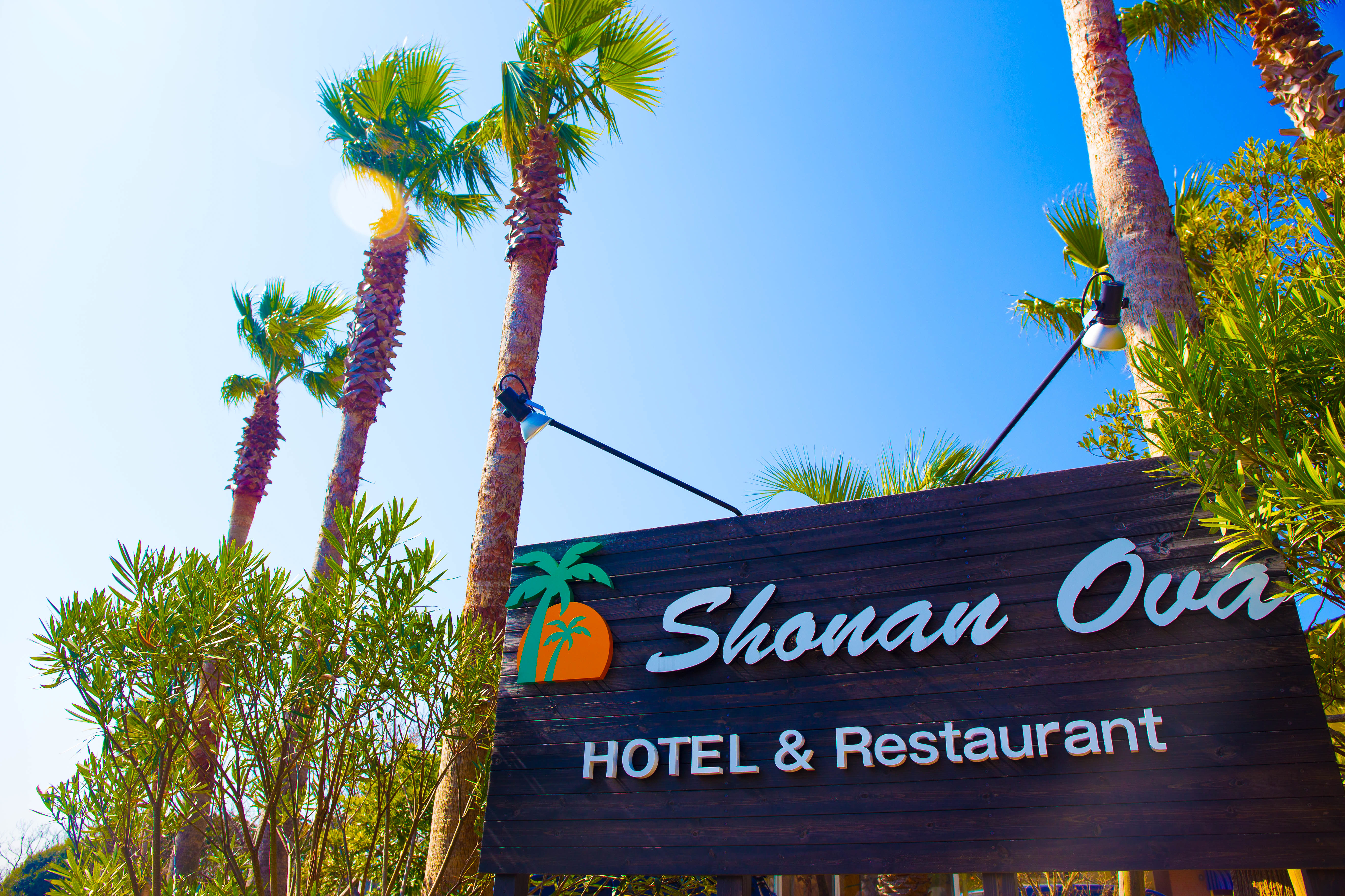 湘南ova 宿泊予約 楽天トラベル