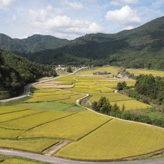 【田染荘】　車で約15分