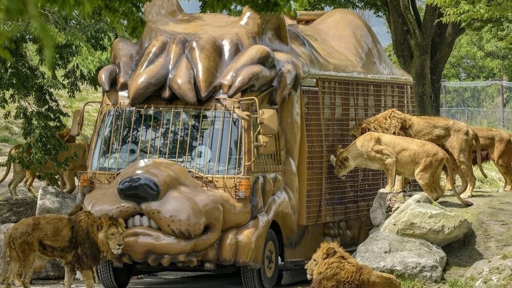 九州自然動物公園　アフリカンサファリ　車で約50分