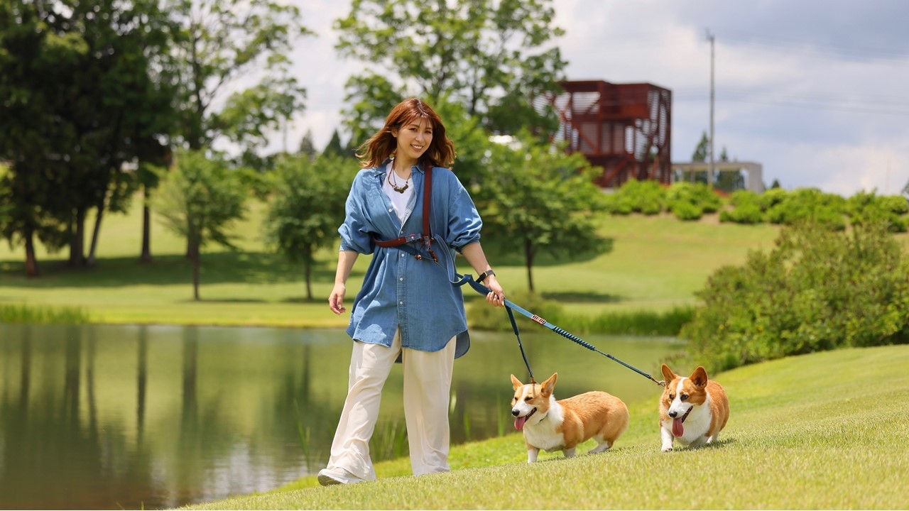 ＜2026年4月〜＞【ペット可／大型犬OK】室数限定・夕朝お部屋食 〜選べる3種のコテージ〜