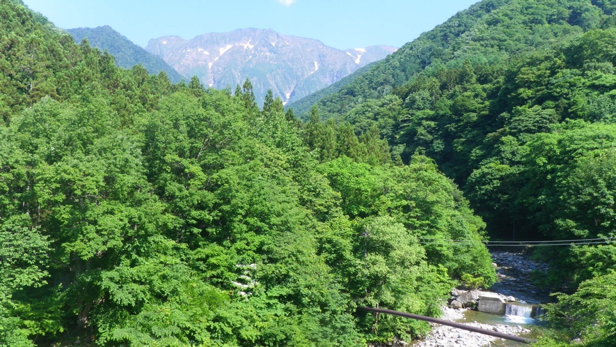 名山「谷川岳」が魅せる四季の美しさ　～夏～