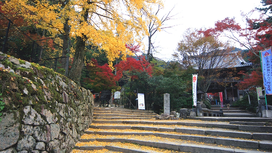 宮島の紅葉をお楽しみください。