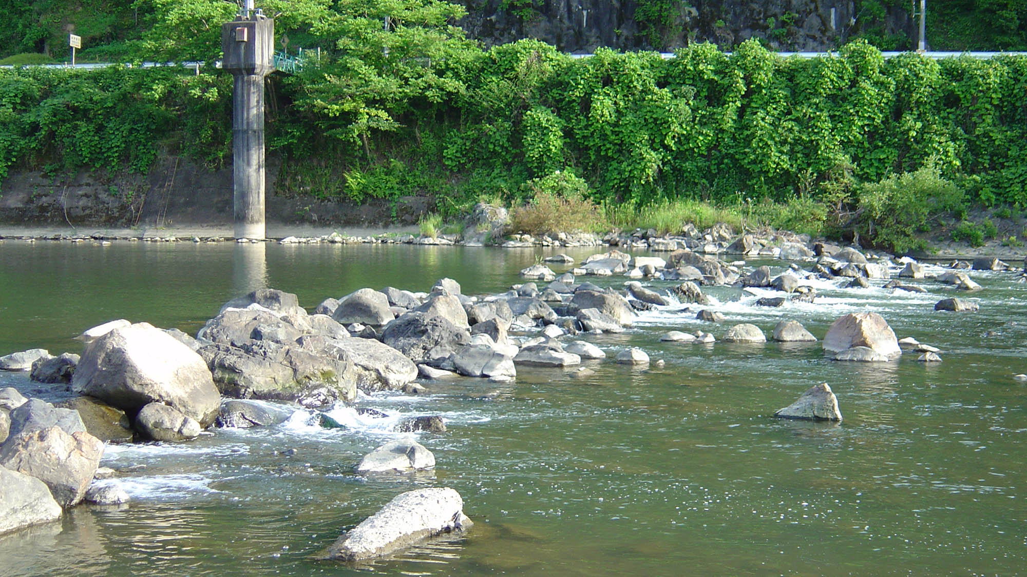 ・【周辺】穏やかな清流の吉野川は自然本来の姿を残しています