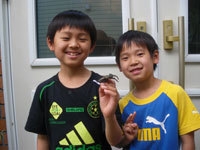 izu chalet pinokio 宿泊プラン一覧 楽天トラベル izu chalet pinokio 宿泊プラン一覧 楽天トラベル