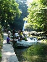 天城の国立公園浄蓮の滝の清流で鱒アマゴ釣り貸切家族風呂付き