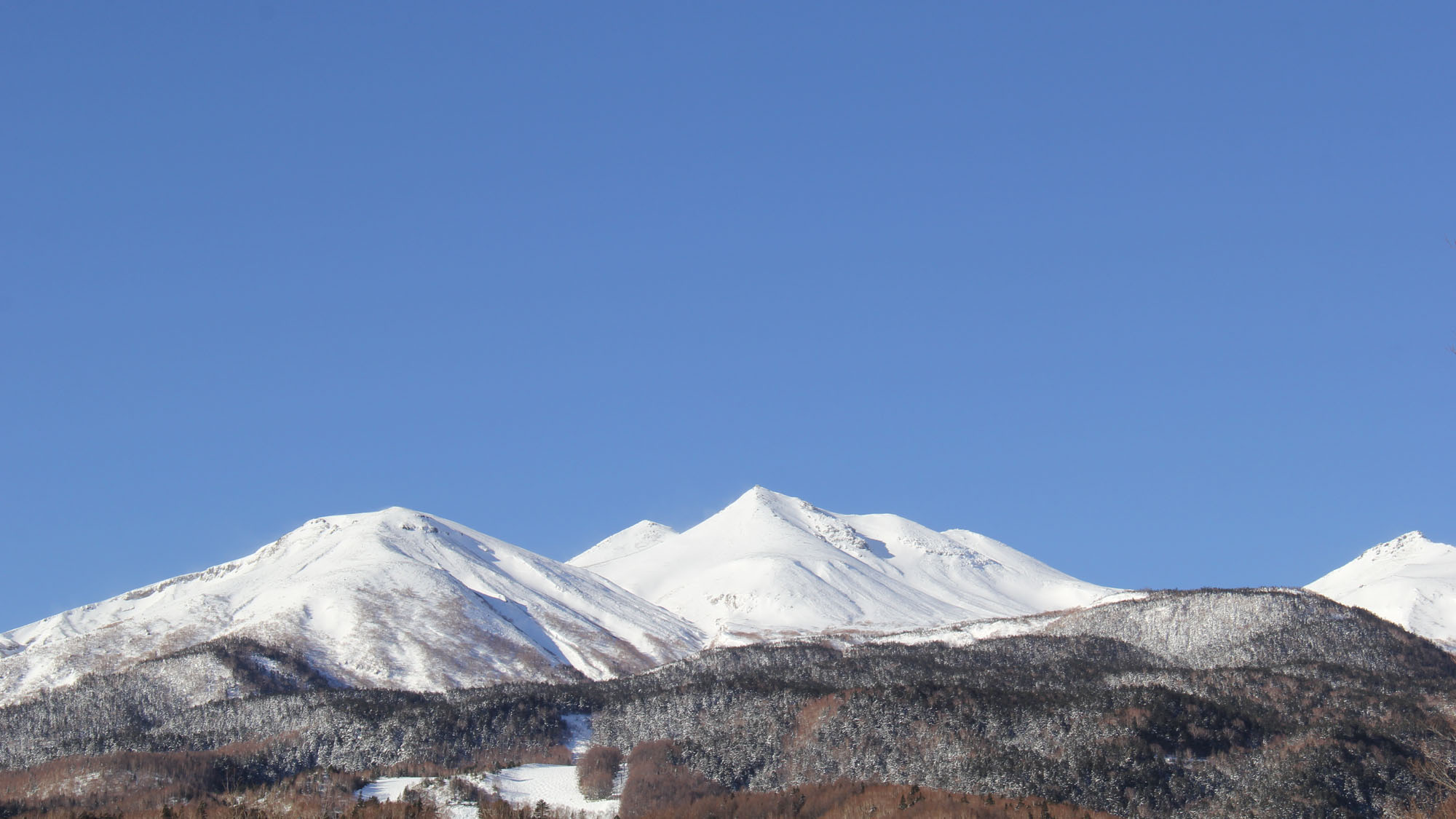 【周辺】山の景色