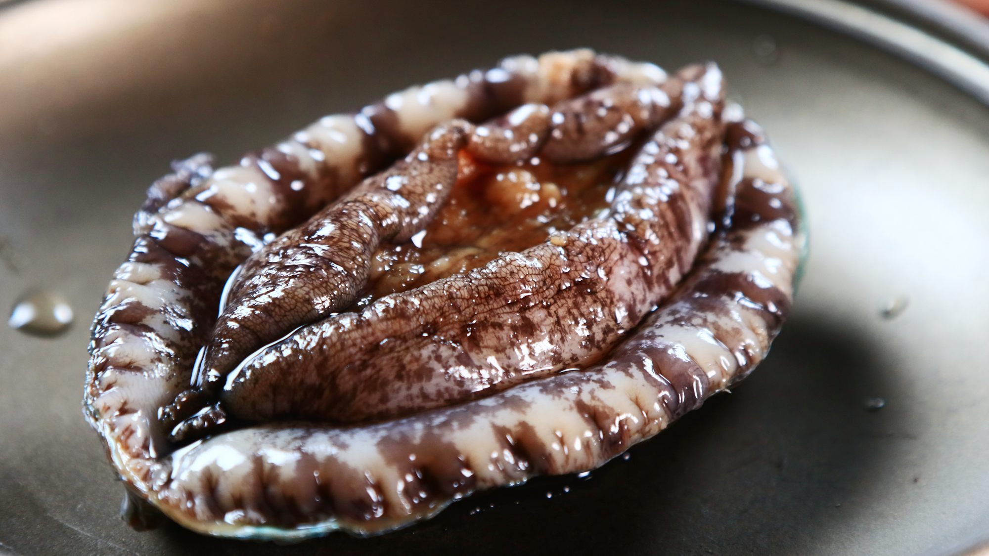 アワビ◆踊焼きorお造りから選べます