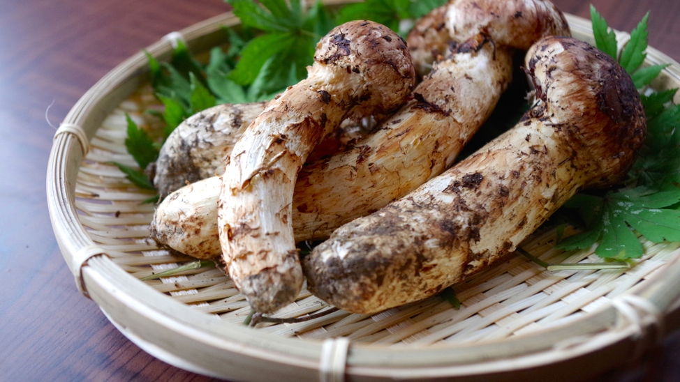 【秋限定】信州奈川の秋の味覚「松茸」を堪能◆松茸付き特別料理【1泊2食付】
