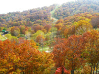 野沢温泉の紅葉