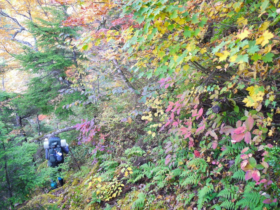 【登山者向け】秋山郷で登山を楽しみ、地元食材を使った創作料理と温泉で癒される　2食＆おにぎり付き