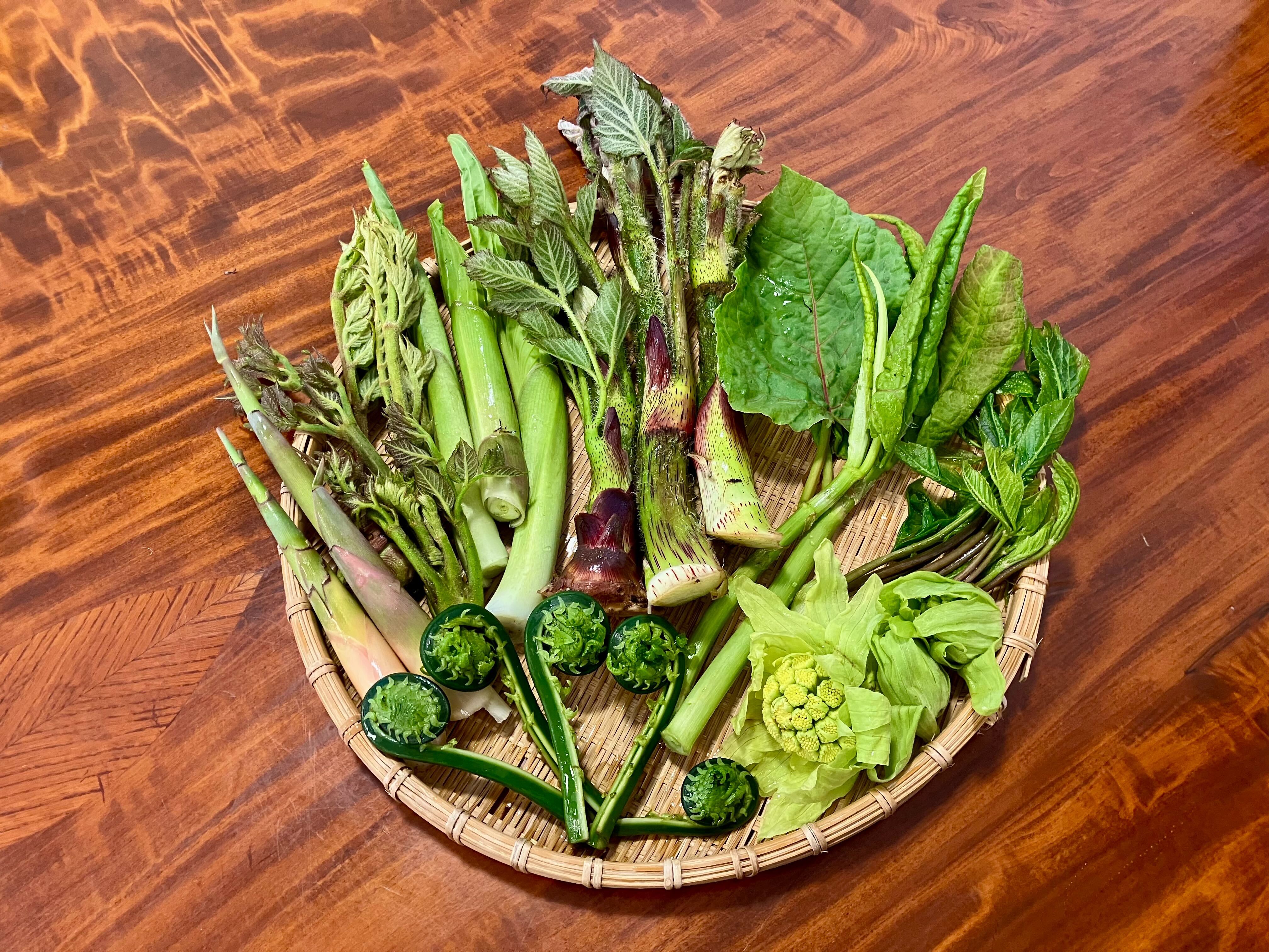 山菜盛り