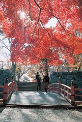 岩手公園紅葉（秋）