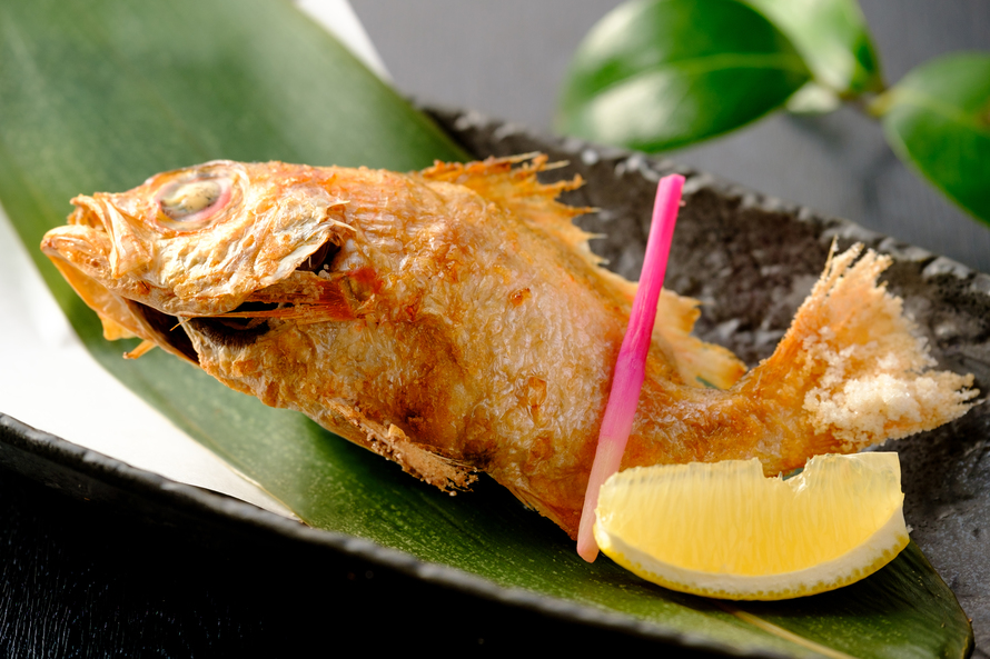 鳥取県の魅力ある食材（牛☆豚☆鶏☆のどぐろ☆ヒラメ）の詰め合せ♪地産地消プラン