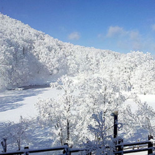 *冬景色/ゲレンデまで徒歩0分の好立地★冬はスキー・スノーボード満喫！