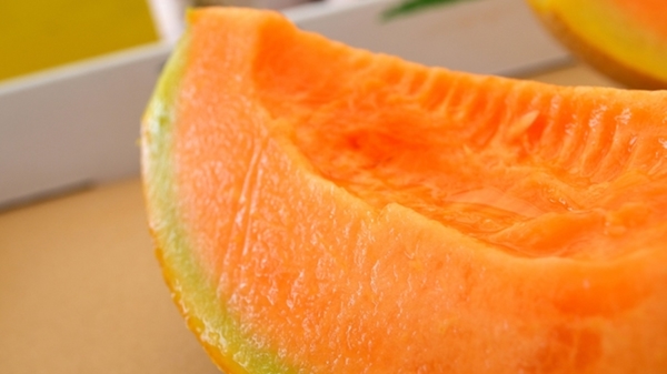 栗山温泉 ホテルパラダイスヒルズ 写真 動画 楽天トラベル 栗山温泉 ホテルパラダイスヒルズ 写真 動画 楽天トラベル