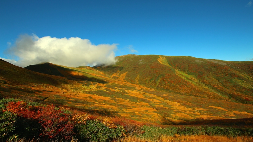 *月山／秋には見事な紅葉が楽しめます