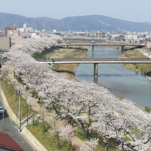 ★第40回ふくい桜まつり、お花見満喫！朝食付プラン★