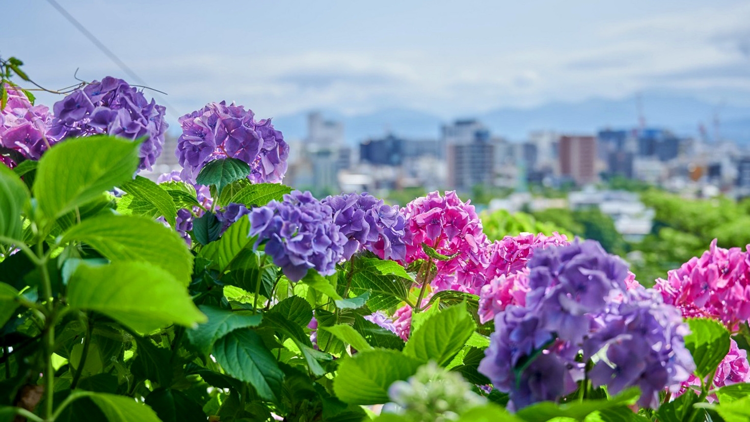屋根付駐車場つき、バイクツーリングを満喫　朝食付プラン(ドリンク１杯無料＋α！)