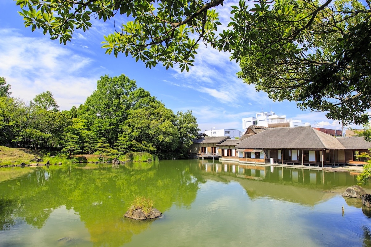 ★第41回ふくい桜まつり、お花見満喫！2食付プラン★