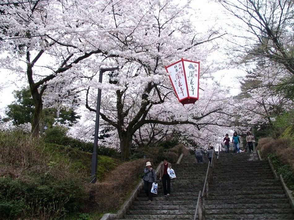 ★第41回ふくい桜まつり、お花見満喫！朝食付プラン★