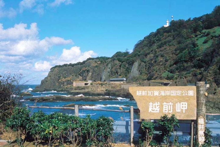 越前岬