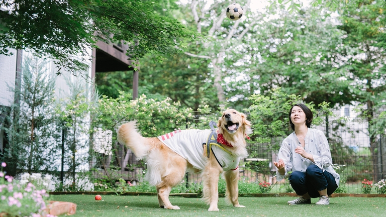 【大型犬もOK♪1番広い専用ドッグラン付】40平米以上和洋室