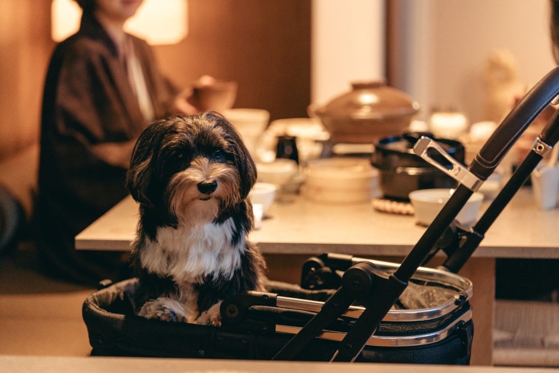 【わんちゃんと宿泊】 本場下関のとらふくフルコース