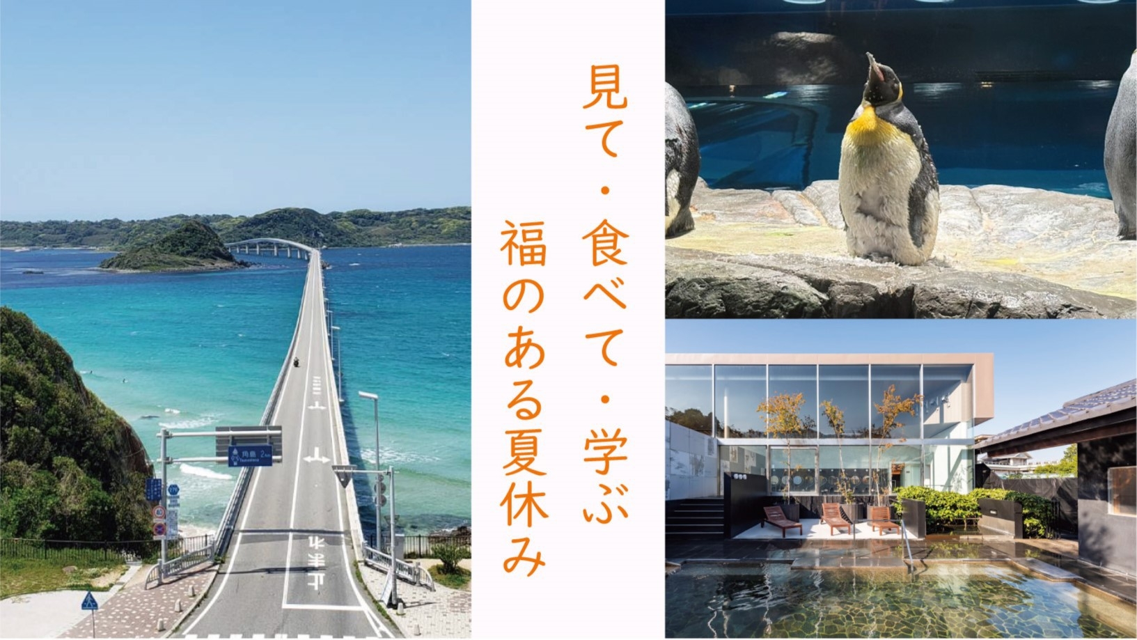 【海響館優待券付き】見て・食べて・学ぶ　福のある夏休み