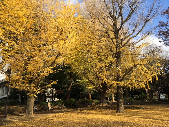 ◆上野恩賜公園◆