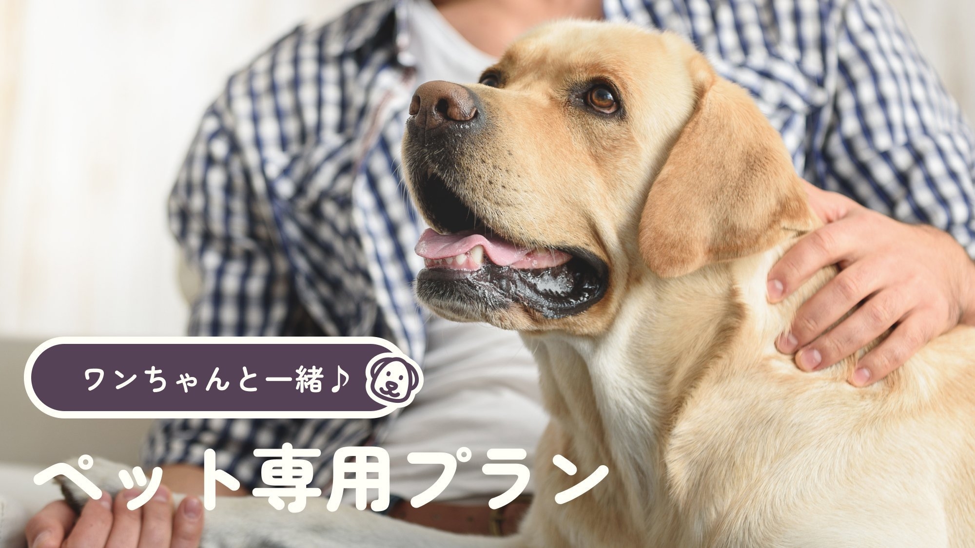 冬銀河♪♪ 【わんちゃんと一緒にご宿泊彡】☆ペット専用ツイン☆彡【はこぶらプラン】温泉＆サウナ無料！